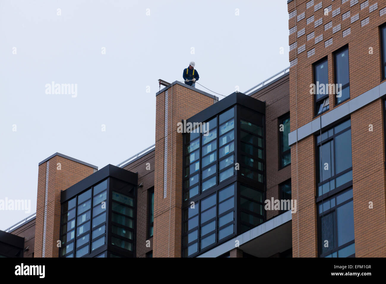 Uomo al lavoro su cengia sulla cima di un edificio highrise - USA Foto Stock