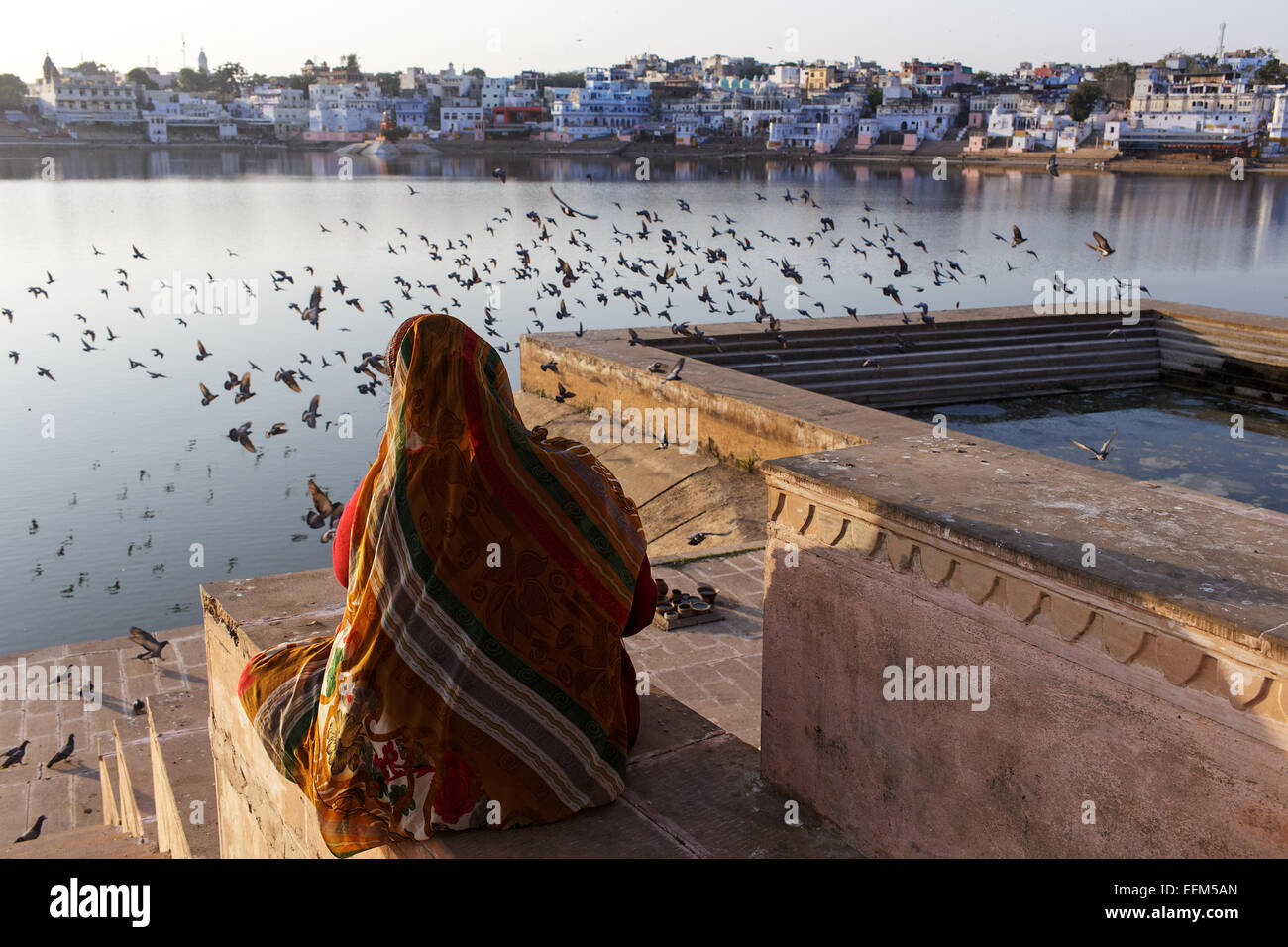 Una donna e Piccioni a santo indù nel Lago di Pushkar, Rajasthan, India Foto Stock