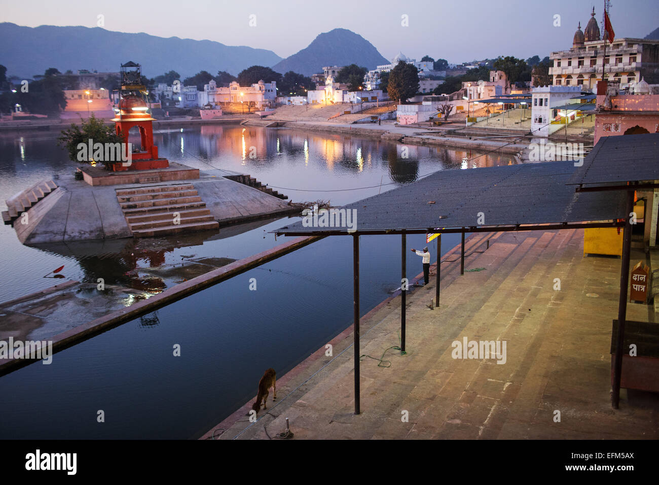 La mattina presto a Santo indù nel Lago di Pushkar, Rajasthan, India Foto Stock