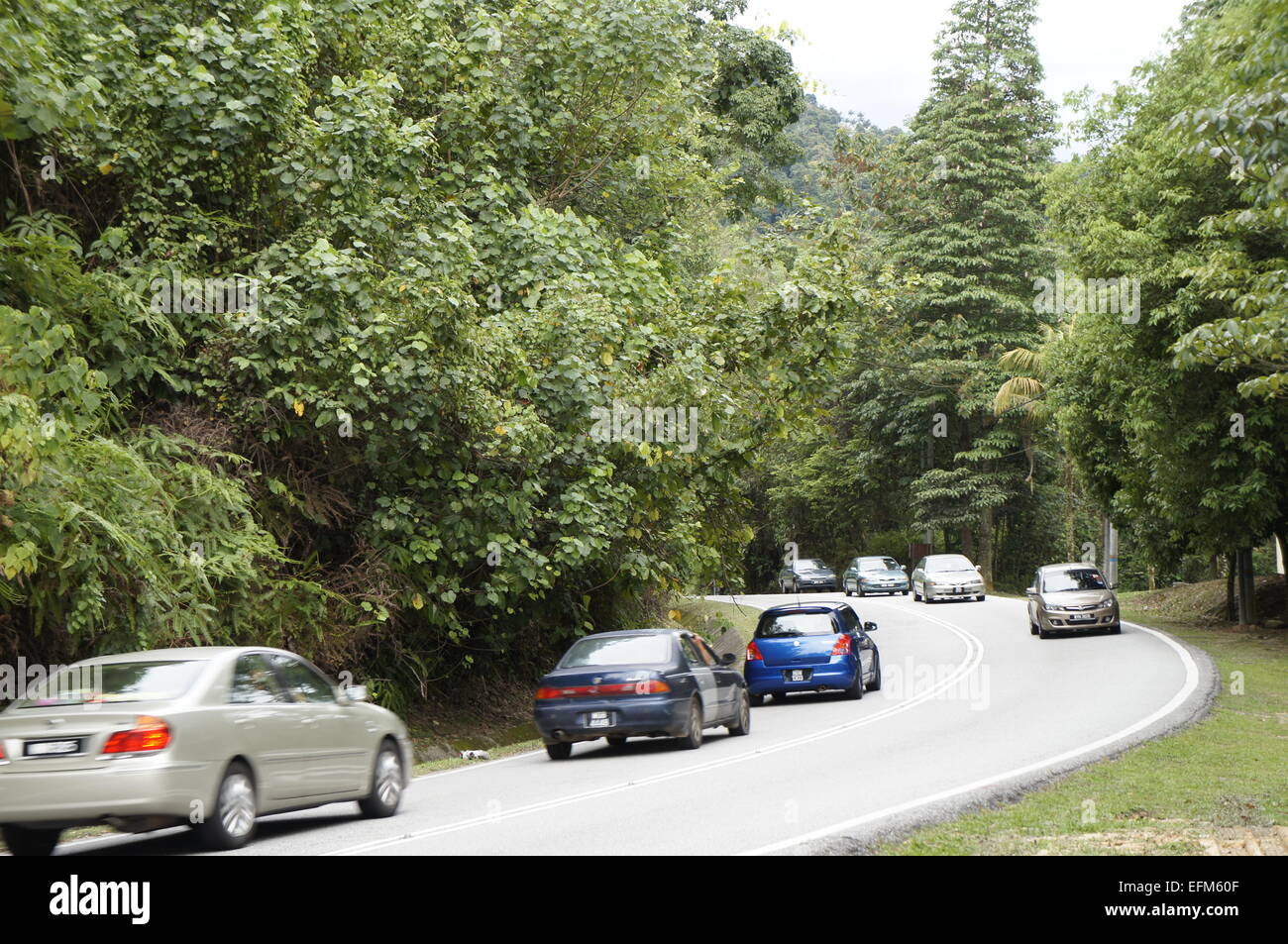 Campagna hill road in Malaysia con le automobili in entrambe le direzioni Foto Stock