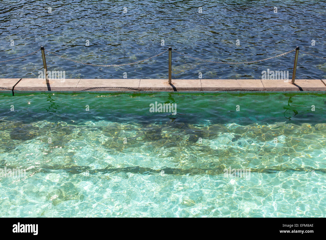 Piscina di acqua salata in Clovelly, Sydney, Nuovo Galles del Sud, Australia Foto Stock