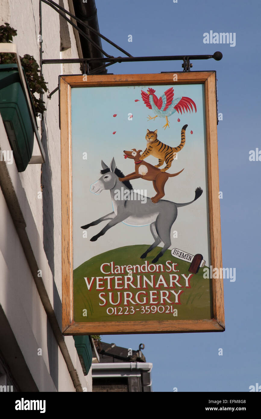 Musicanti di Brema pratica veterinaria segno indicante un gallo in piedi sul gatto in piedi su un cane in piedi su un asino, Clarendon Street, Cambridge, Regno Unito Foto Stock