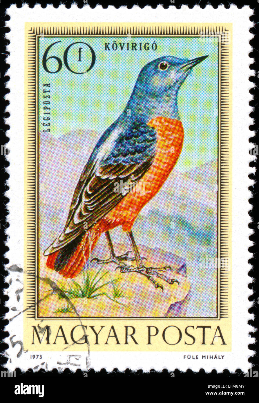 Ungheria - circa 1973: francobollo stampato in Ungheria che mostra Rock i tordi, Bird, circa 1973 Foto Stock