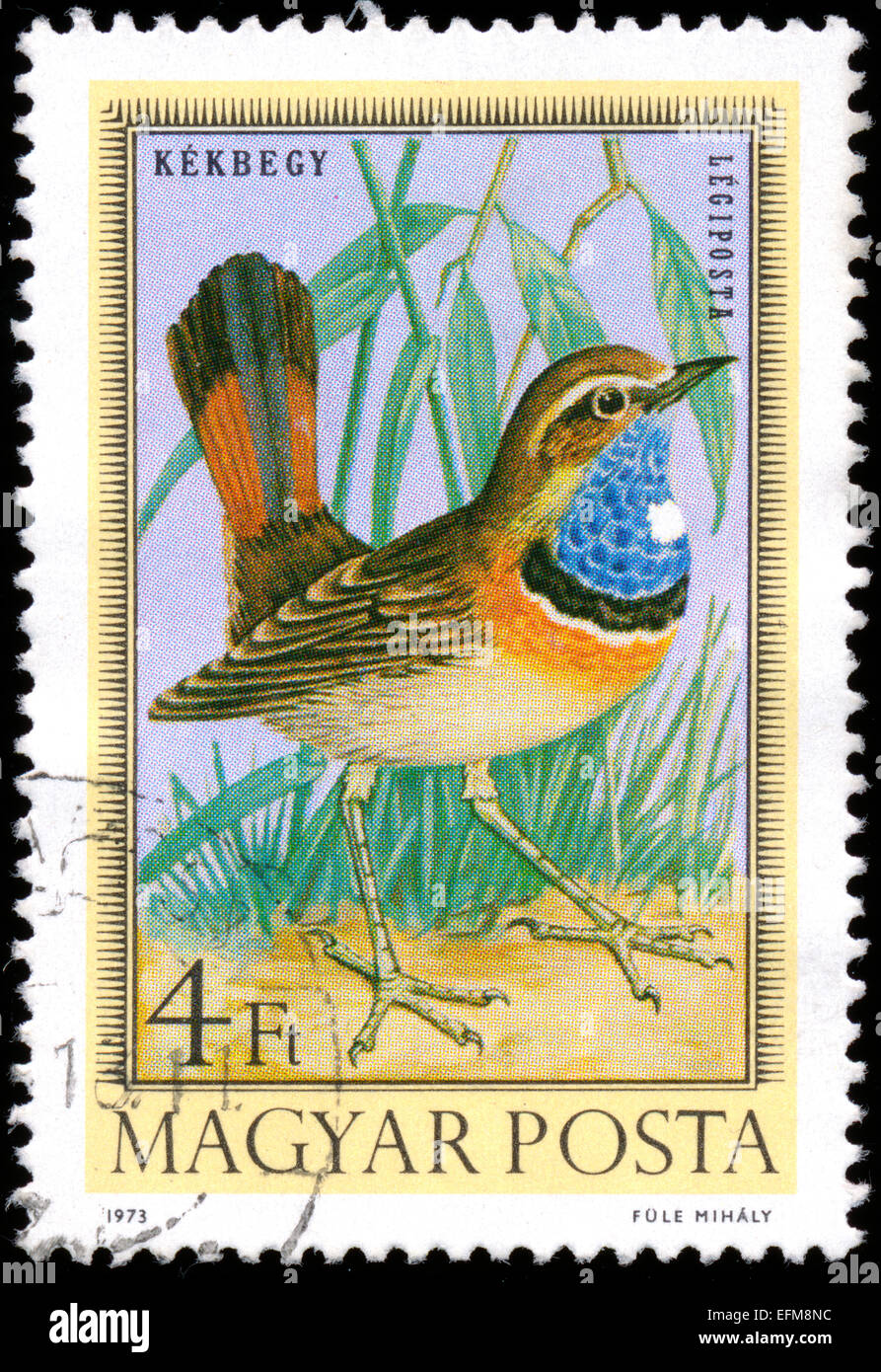 Ungheria - circa 1973: francobollo stampato in Ungheria che mostra pettazzurro, circa 1973 Foto Stock