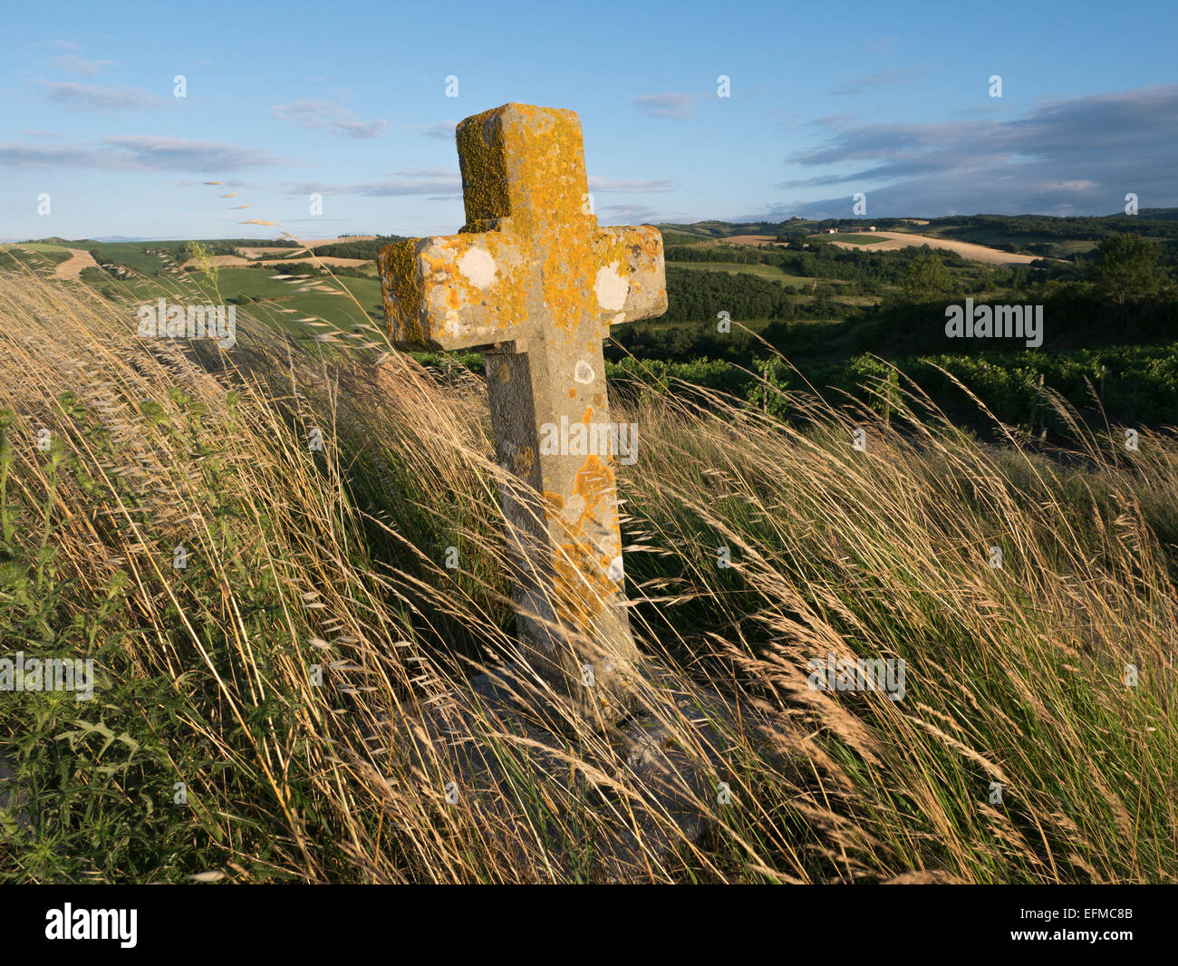 Un anonimo la pietra tombale su una collina tra i vigneti del Languedoc, Fance Foto Stock