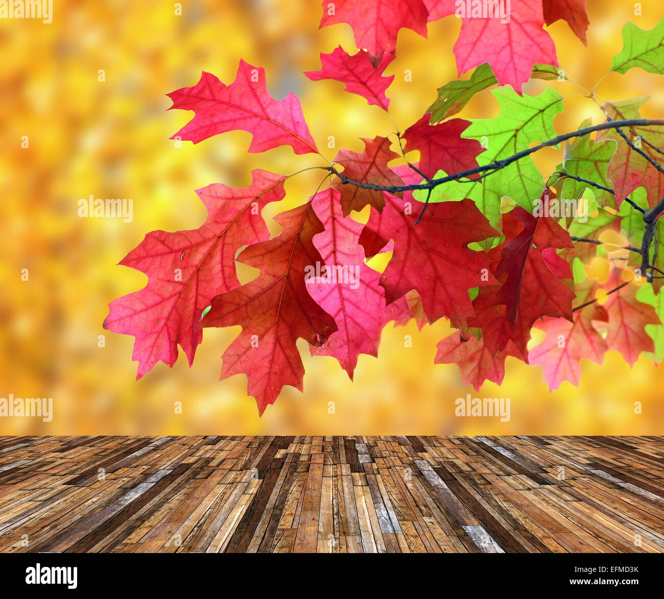 Belle foglie rosse in autunno il giorno sulla veranda in legno, Scenic dalla natura Foto Stock