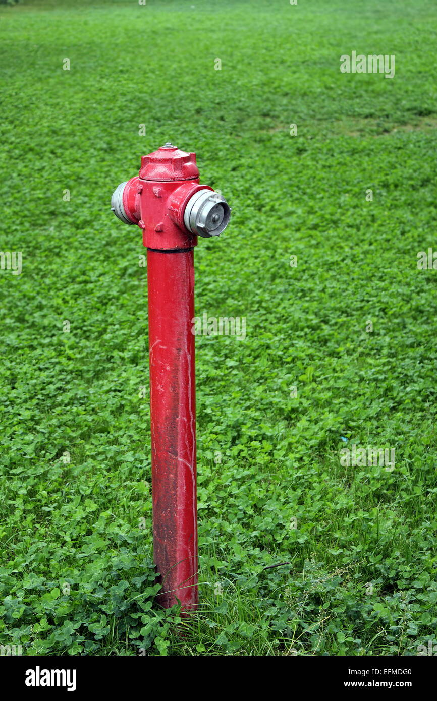 Vecchio rosso sporco idrante in prato verde Foto Stock