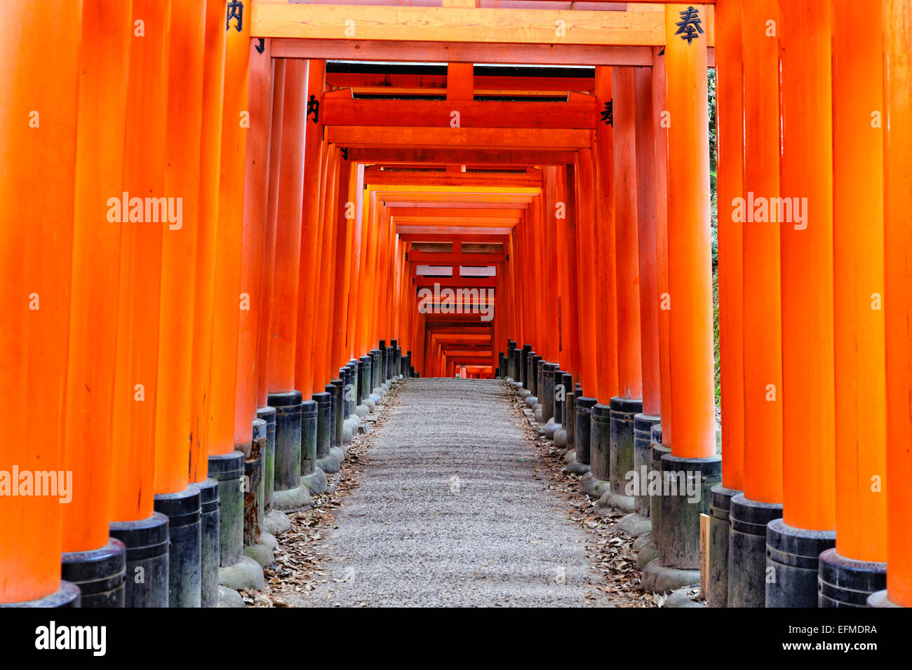 Fushimi Inari Taisha a Kyoto, Giappone Foto Stock