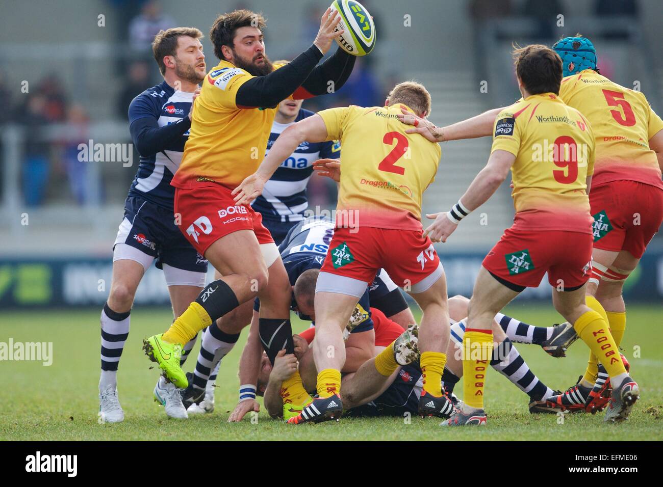 Vendita, UK. 07 feb 2015. LV di Rugby. Vendita squali versus Scarlets. Llanelli Scarlets numero 8 Rory Pitman. Credito: Azione Sport Plus/Alamy Live News Foto Stock