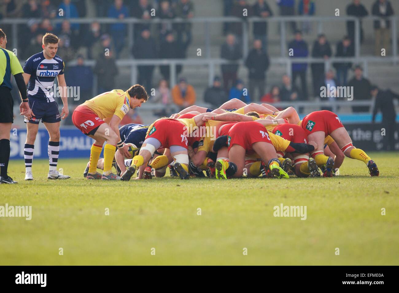 Vendita, UK. 07 feb 2015. LV di Rugby. Vendita squali versus Scarlets. Llanelli Scarlets Scrum-metà Rhodri Williams mette la palla in un scrum. Credito: Azione Sport Plus/Alamy Live News Foto Stock