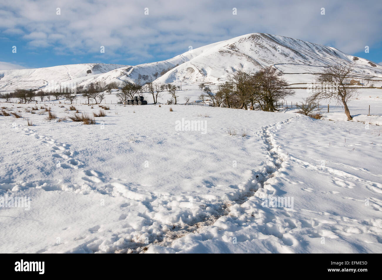 Orme nella neve in valle Edale, Peak District, Derbyshire. Che conduce fino a Horsehill Tor. Foto Stock