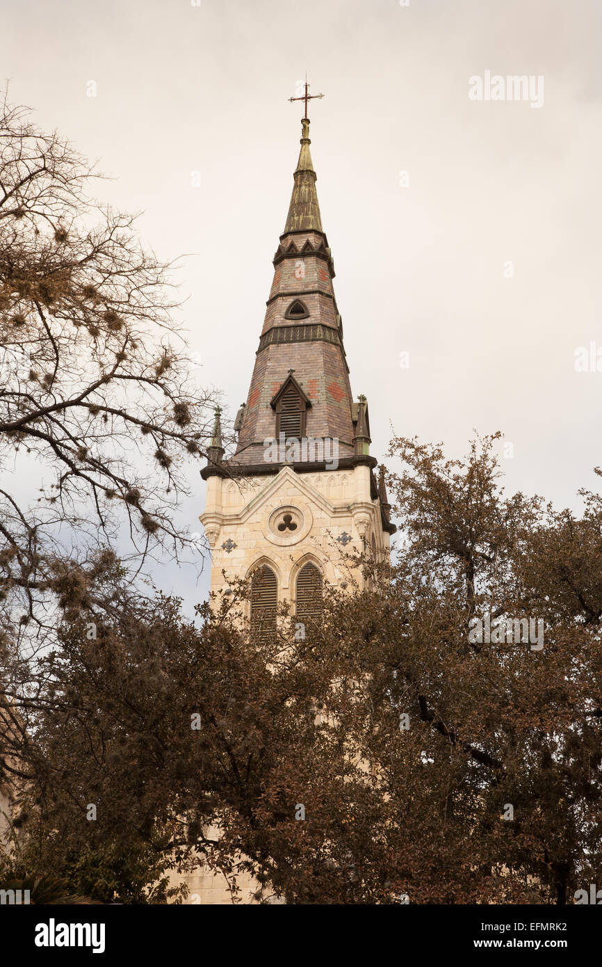 San Giuseppe chiesa cattolica steeple nel centro cittadino di San Antonio, Texas. Foto Stock