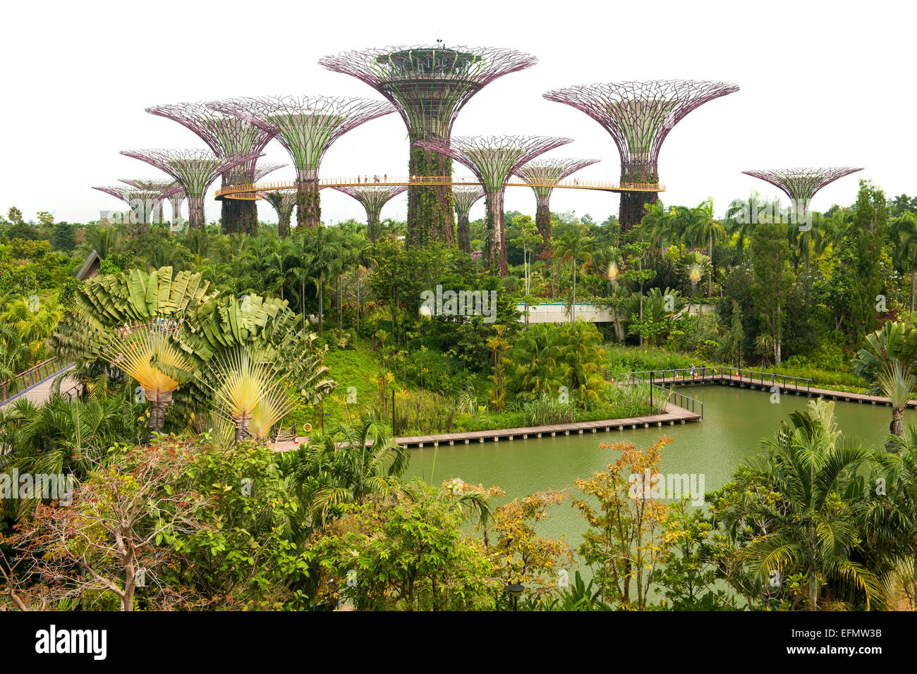 Vista del Supertree Grove nei giardini dalla Bay park a Singapore. Foto Stock