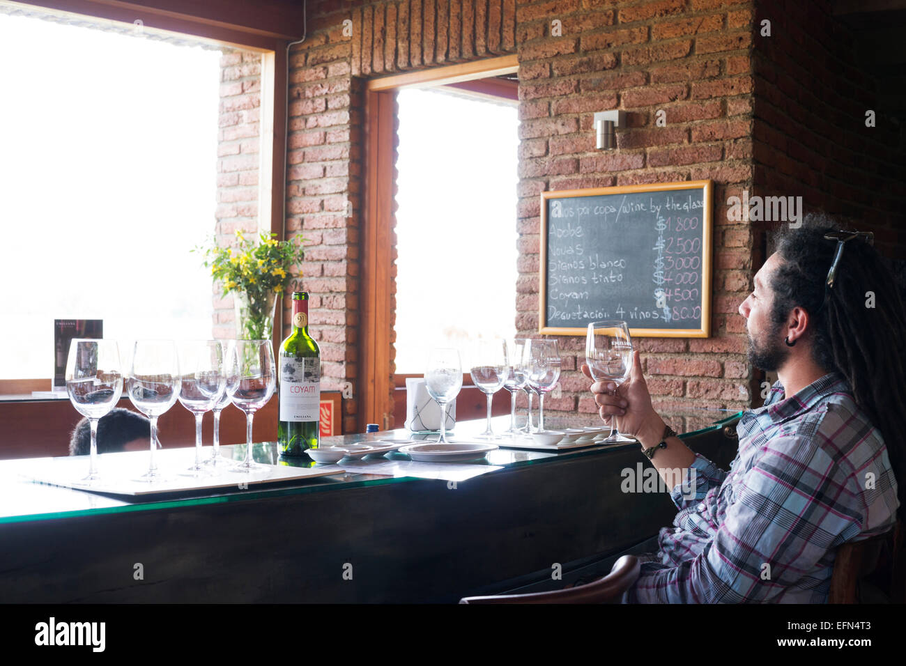 L'uomo detiene il bicchiere di vino nella sala di degustazione a Emiliana Cantina organico nella Valle di Casablanca, Cile, Sud America Foto Stock