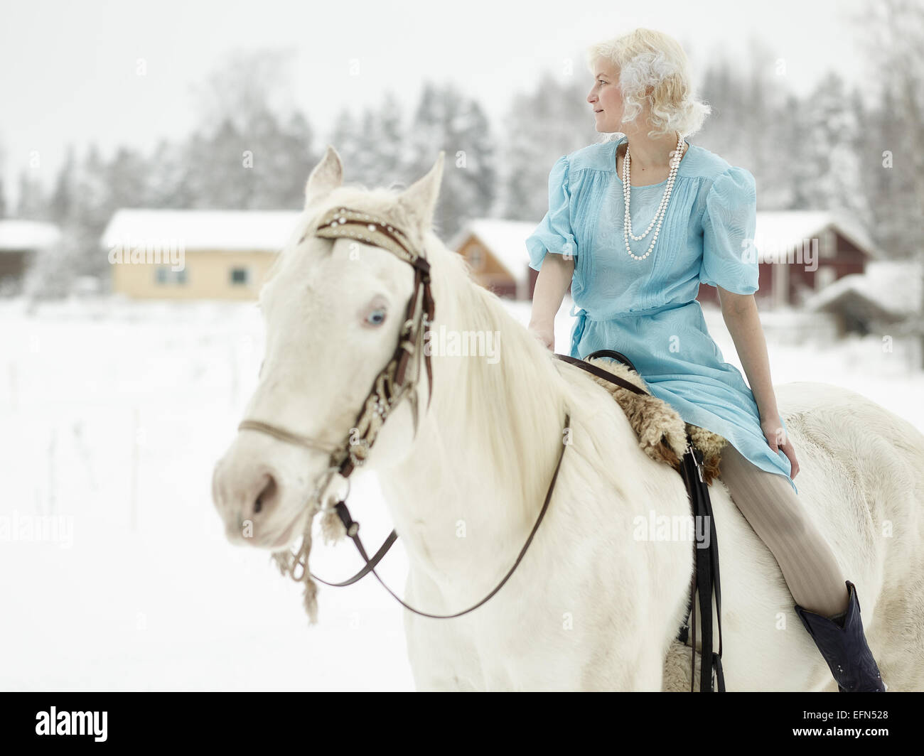 Donna attraente indossando abiti blu e lei in sella ad un cavallo bianco Foto Stock