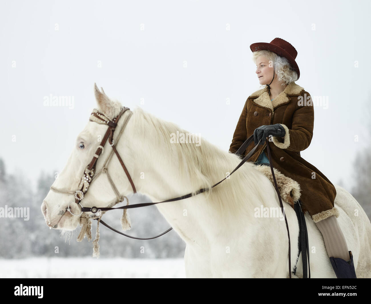 Donna attraente indossando giacca invernale e hat, ella in sella ad un cavallo bianco Foto Stock
