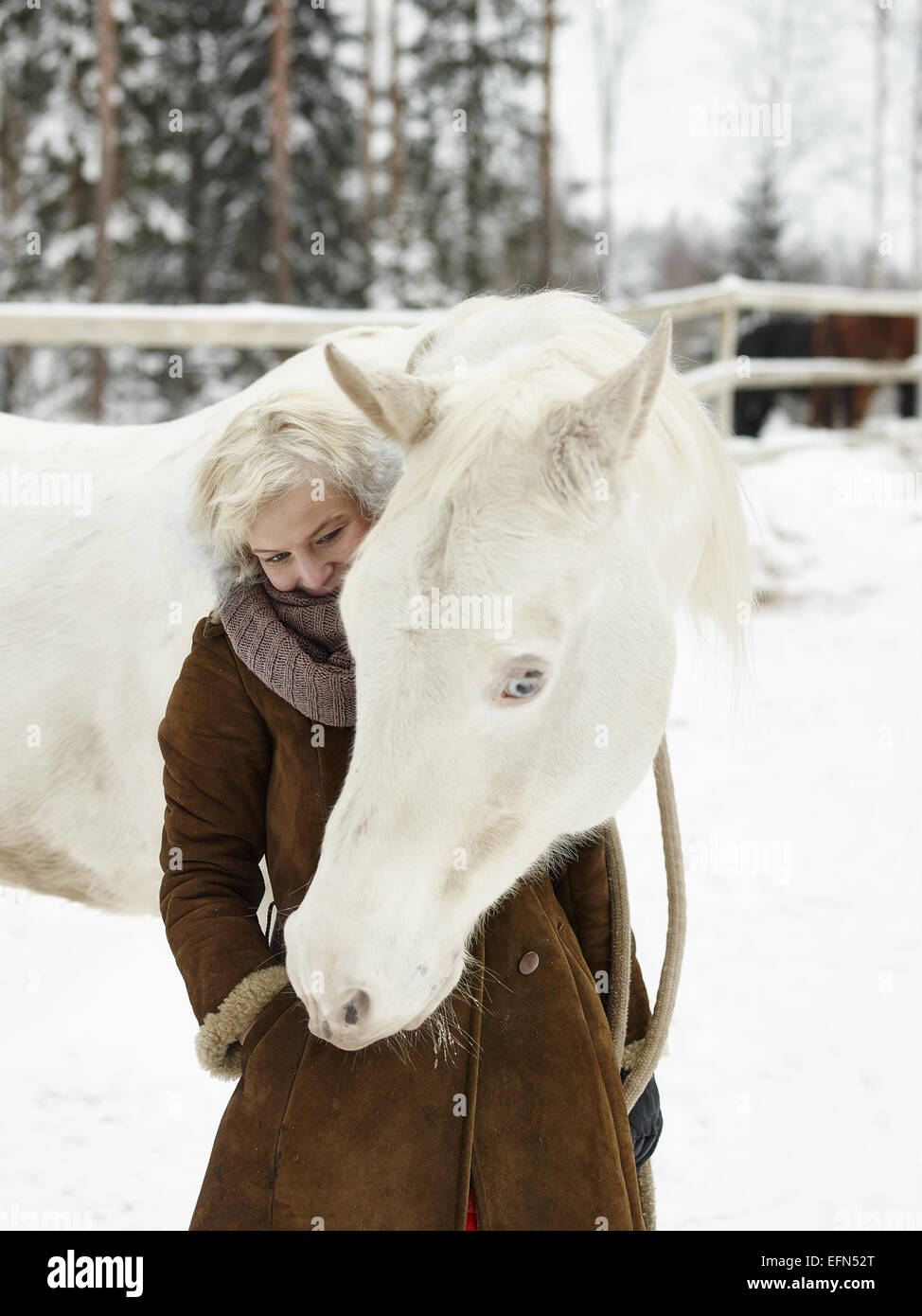 Attraente donna bionda alimenta un cavallo bianco, coperto giornata invernale Foto Stock