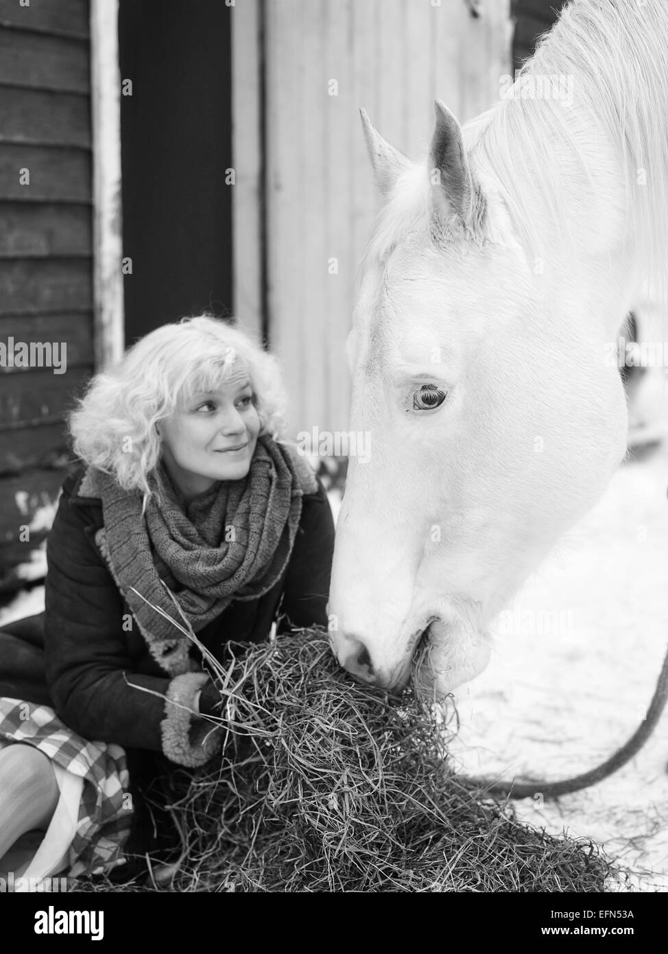 Attraente donna bionda alimenta un cavallo bianco, coperto giornata invernale, immagine in bianco e nero, concentrarsi su gli occhi del cavallo Foto Stock