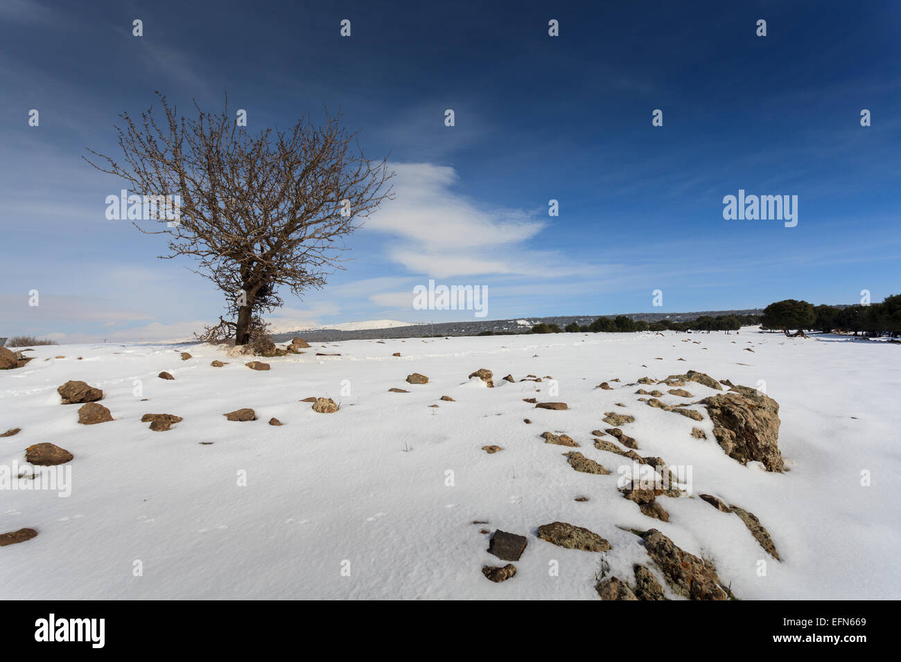 Snowscape. Fotografato nel Golan, Israele Foto Stock