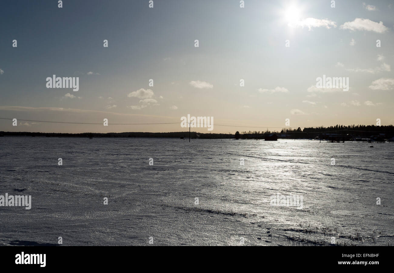 Pilone di elettricità nel campo invernale Foto Stock