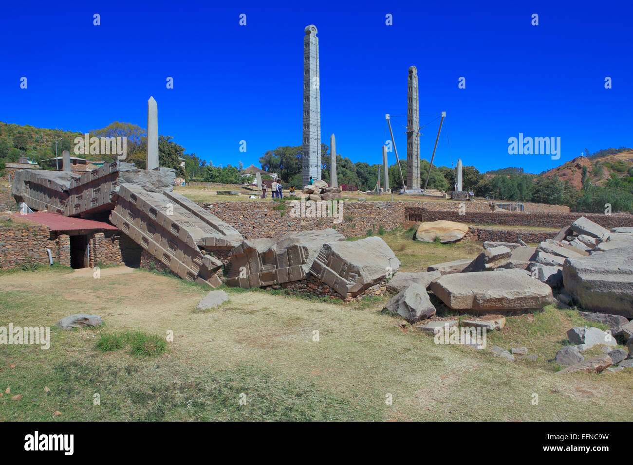 Caduti obelisco, stele settentrionale parco, Axum, Tigray, Etiopia Foto Stock