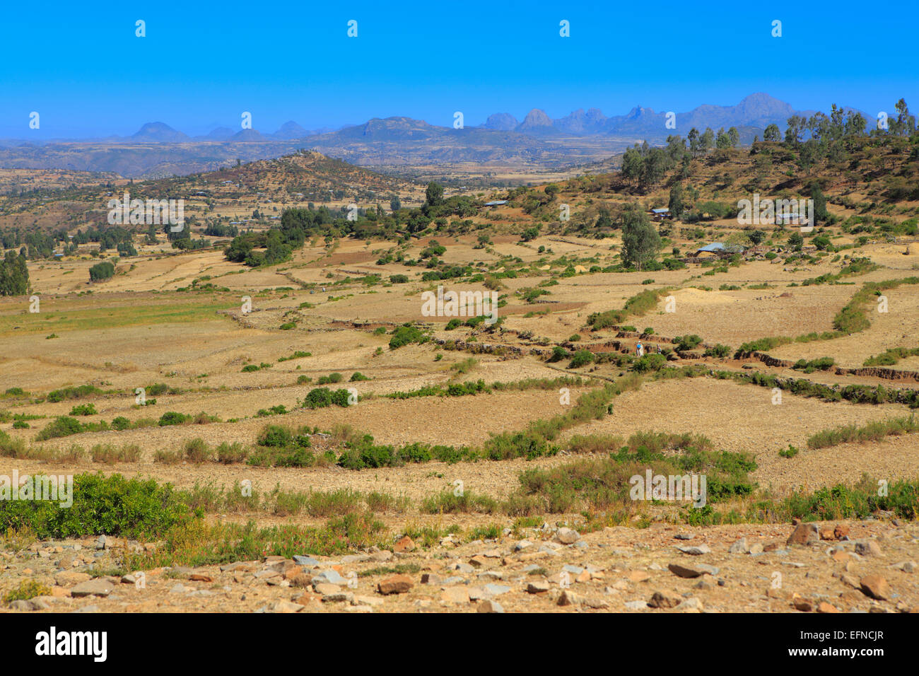 Vista della vallata vicino alla tomba di Kaleb e Gebre Meskel, Axum, Tigray, Etiopia Foto Stock