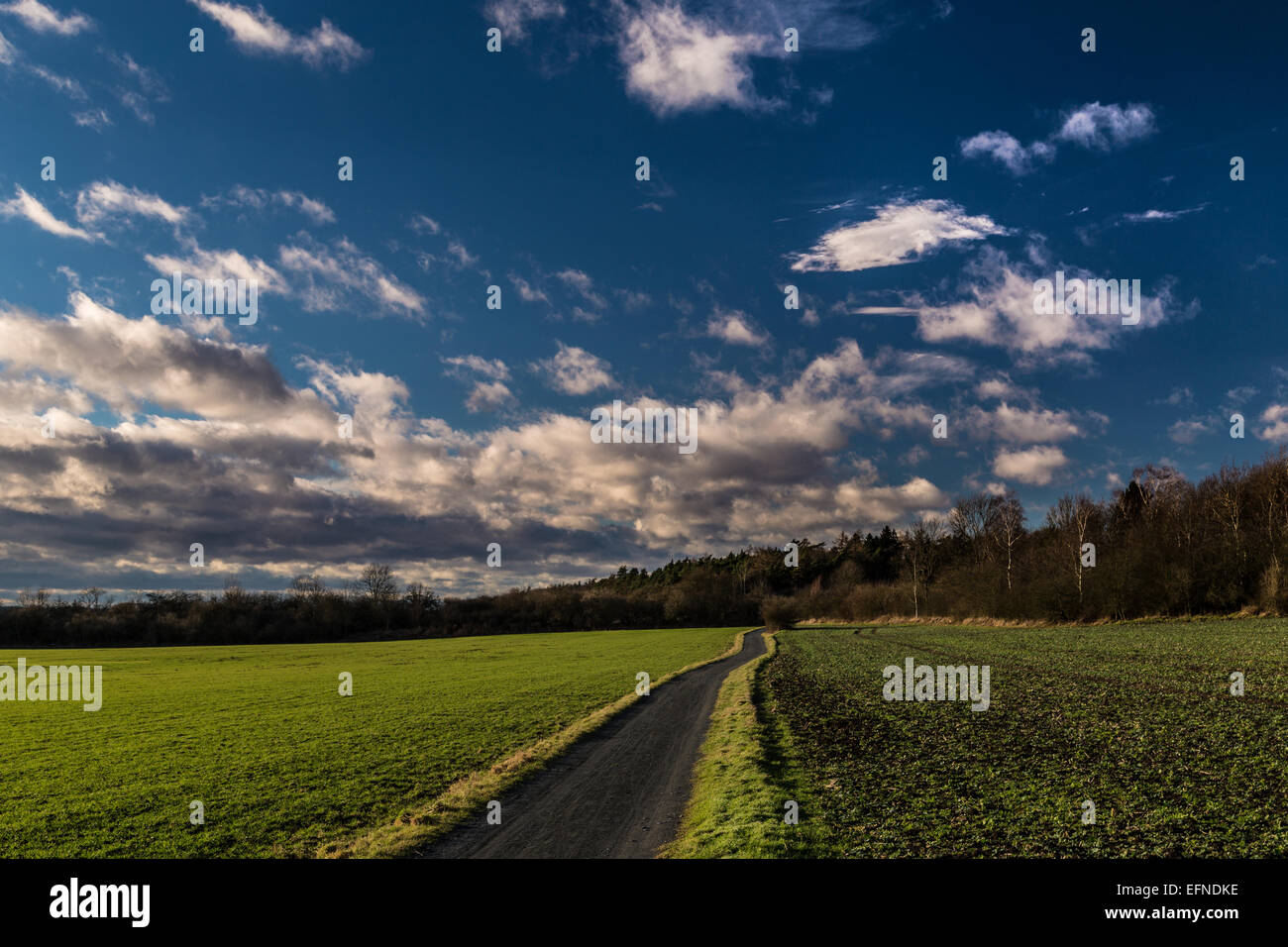 Strada di campagna tra il verde dei campi con nuvole lucido Foto Stock