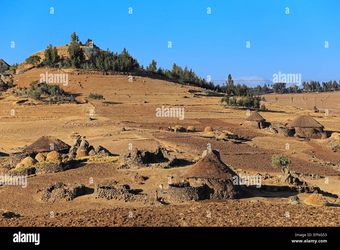 Vista delle highlands vicino Dilbe, Amhara Region, Etiopia Foto Stock