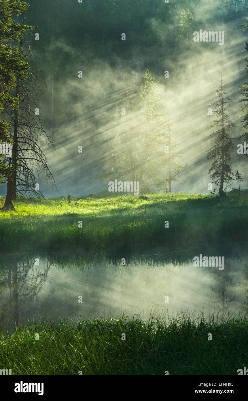 Raggi di luce di alba rottura attraverso la nebbia nel Parco Nazionale di Yellowstone, Wyoming. Foto Stock