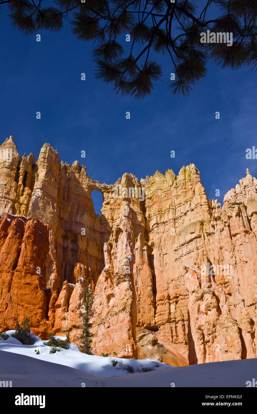 Una parete di finestre, Parco Nazionale di Bryce Canyon durante l'inverno, Utah, Stati Uniti. Foto Stock