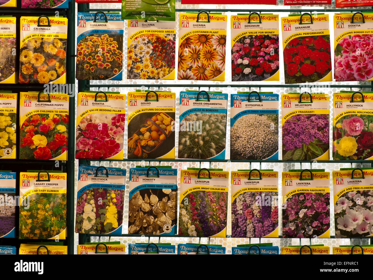Pacchetti di Thompson e Morgan semi di fiori sul visualizzatore in corrispondenza di un Centro giardino Foto Stock