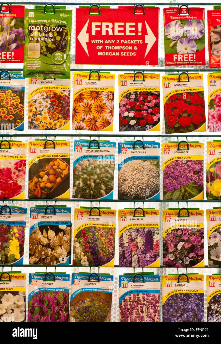 Pacchetti di Thompson e Morgan semi di fiori sul visualizzatore in corrispondenza di un Centro giardino Foto Stock