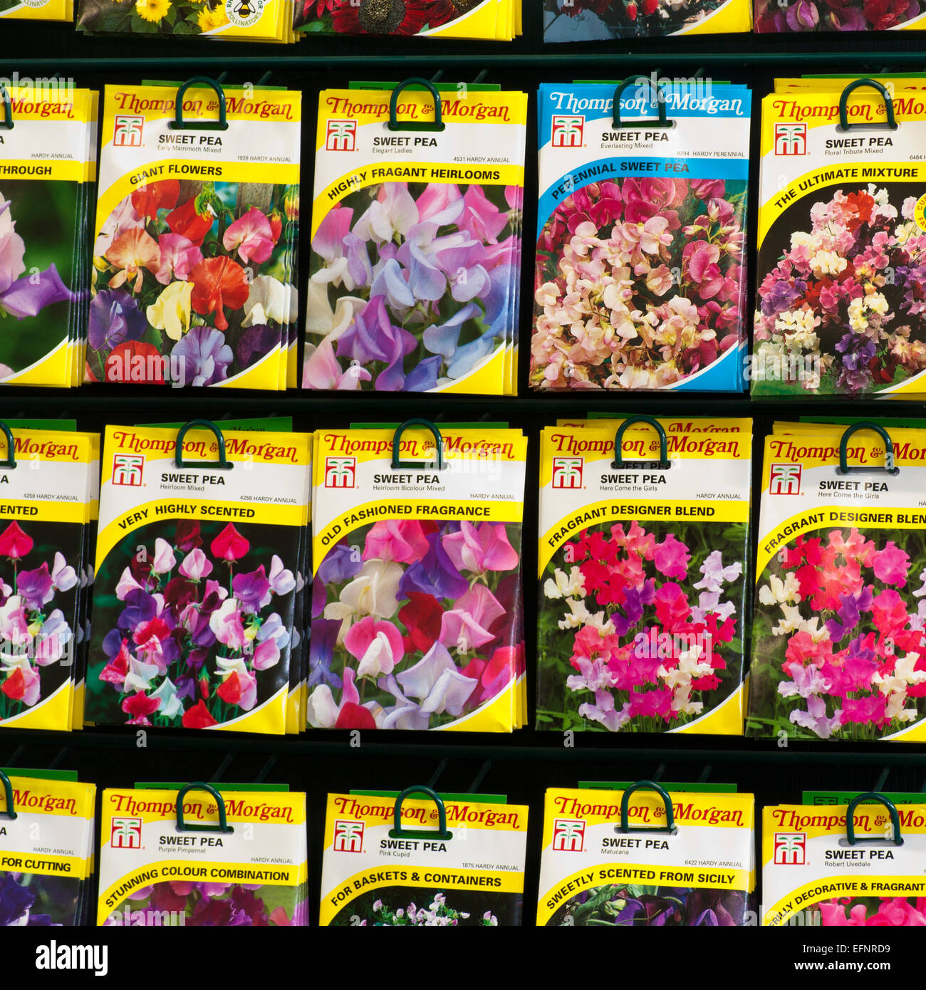 Garden Center Display Rack di Thompson e Morgan semi di fiori Foto Stock