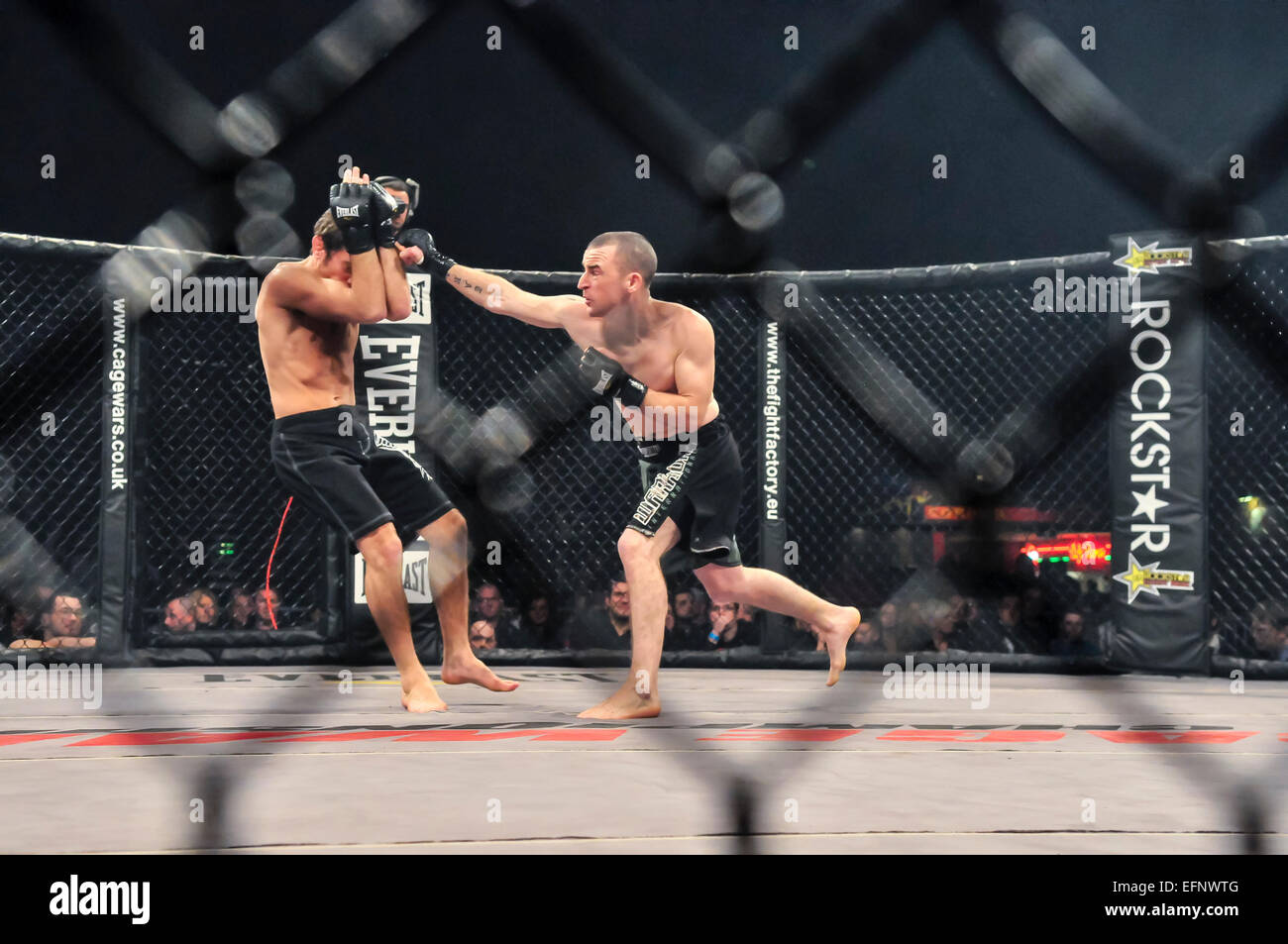 MMA fighter atterra un punzone per il suo avversario faccia Foto Stock