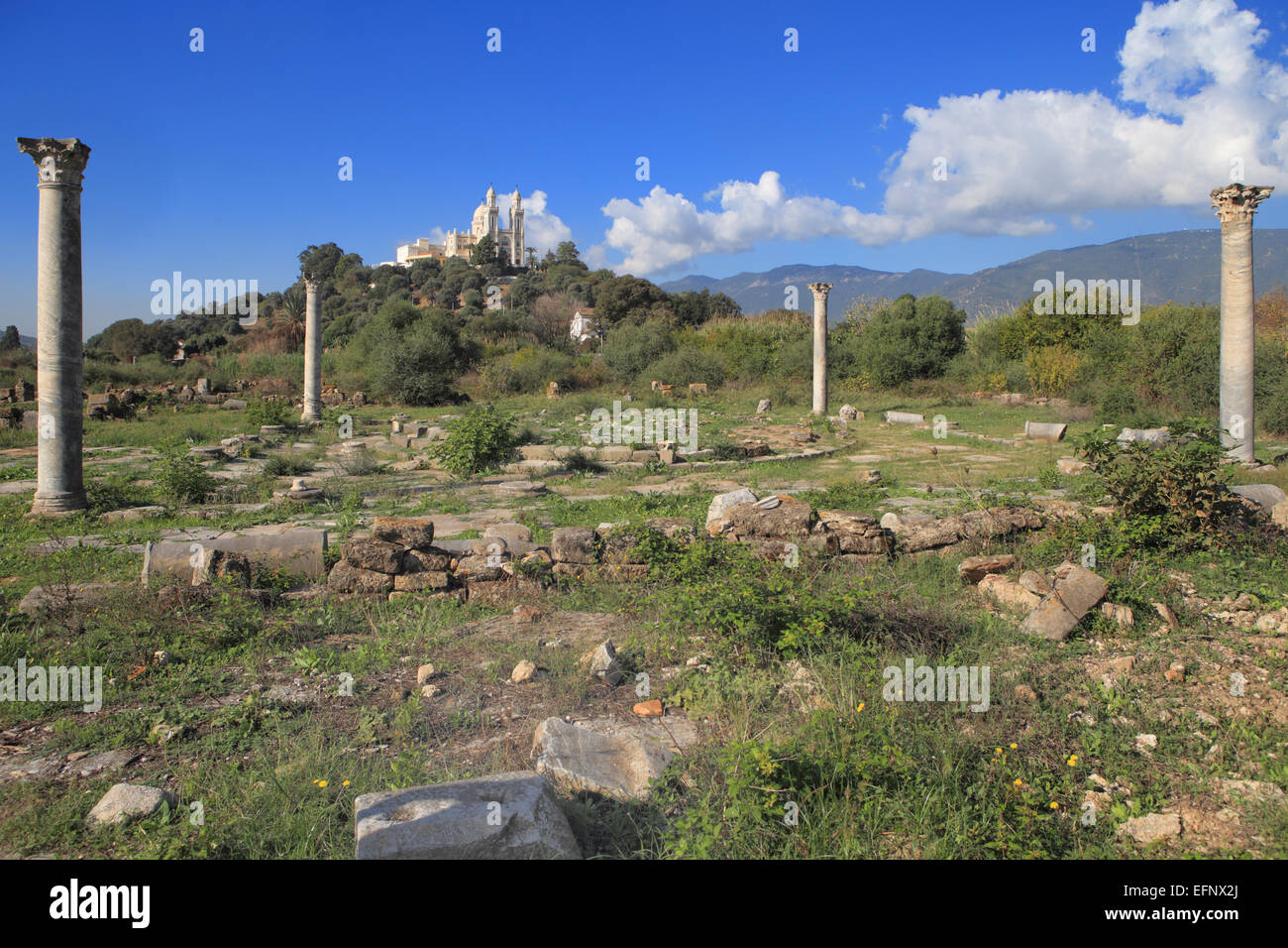 Rovine dell antica città di Ippona Regius, Annaba, Provincia di Annaba, Algeria Foto Stock