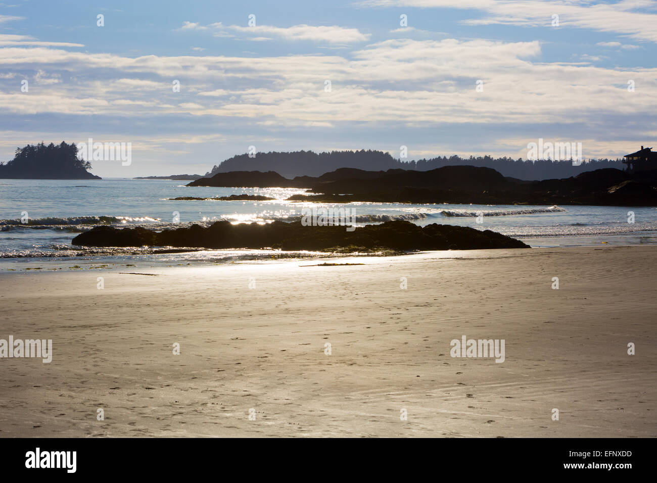 America del nord, Canada, British Columbia, l'isola di Vancouver, Tofino, Chesterman Beach Foto Stock