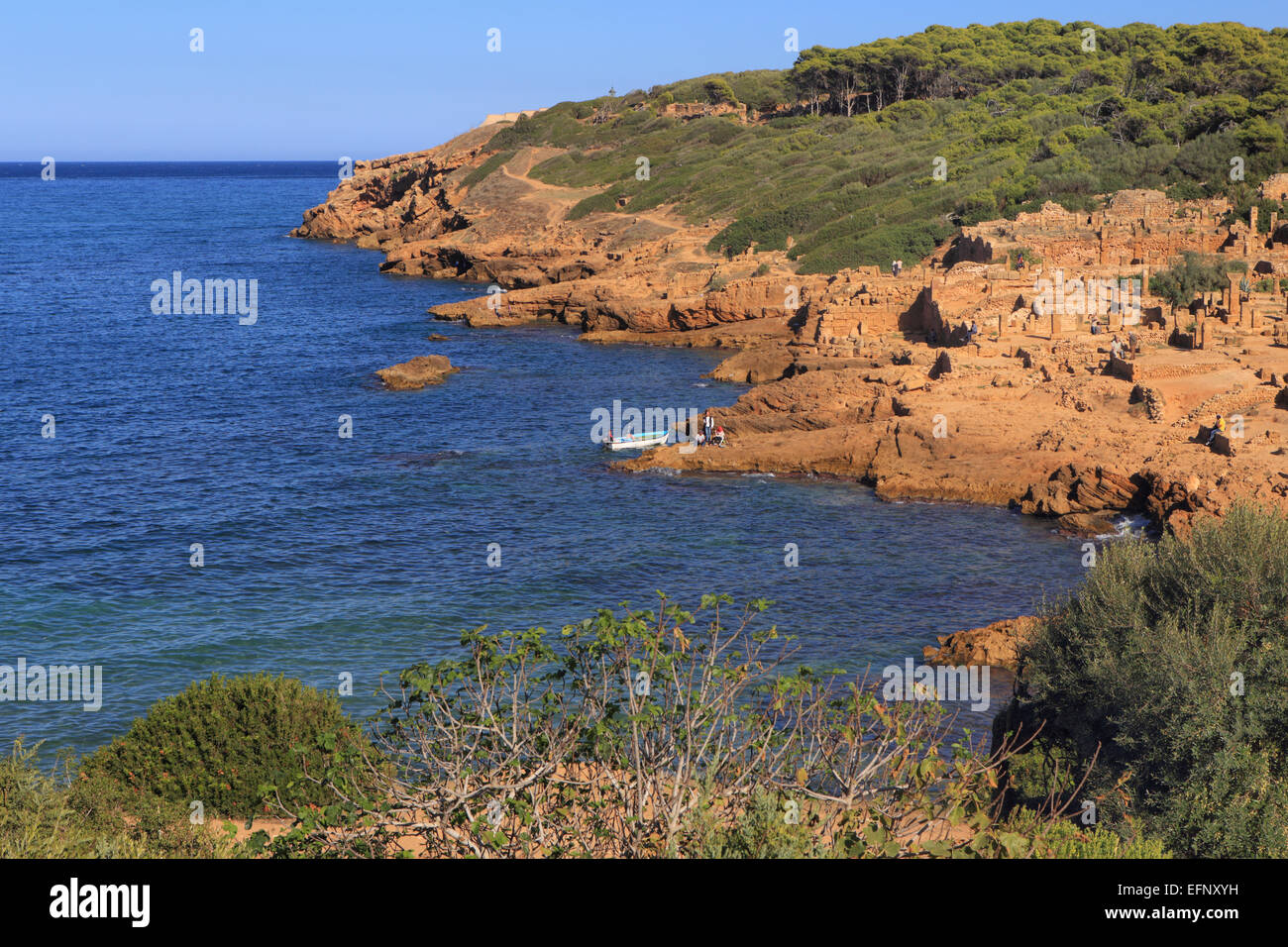 Rovine della città antica, Tipaza, Tipaza Provincia, Algeria Foto Stock