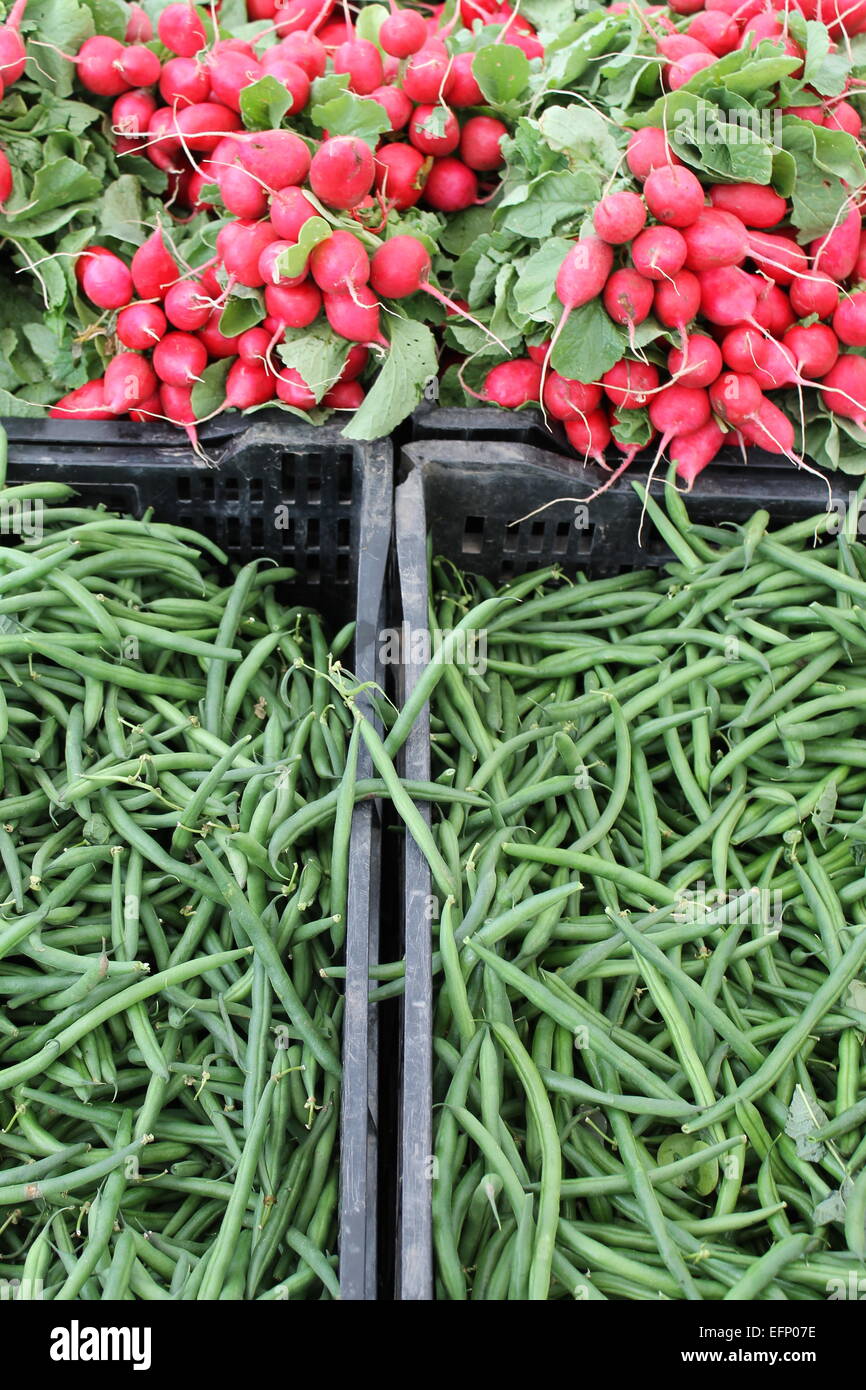 Fagiolini freschi dieta sana cuore vegetale vitamine Foto Stock