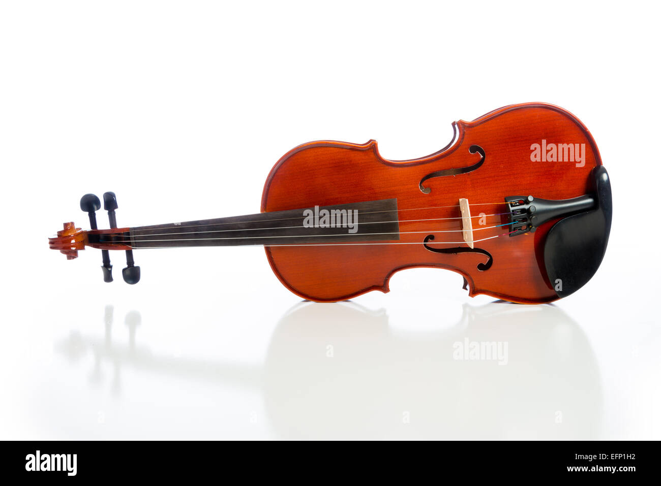 Un violino su sfondo bianco Foto Stock