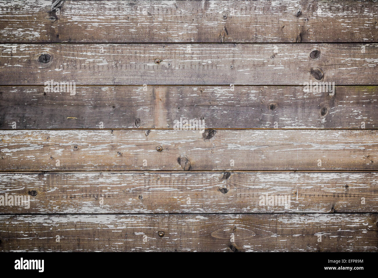 Tavole di legno danneggiato dal processo di invecchiamento. Foto Stock