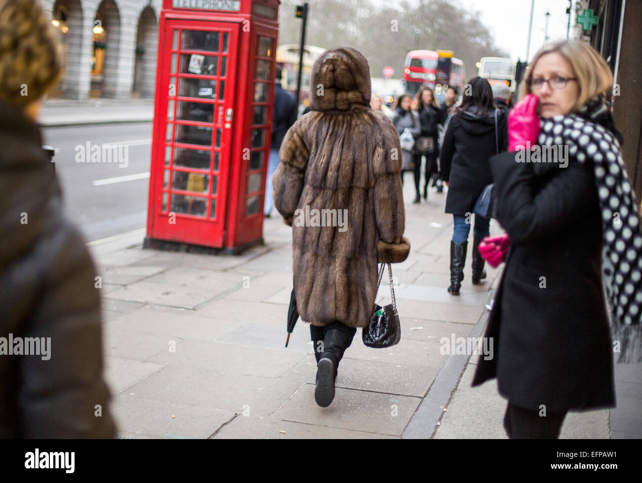 Ricca donna che indossa vera Pelliccia di Visone strada sable Foto Stock