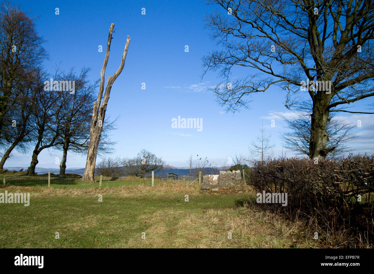Sentiero pubblico e boschi, Coedarhydyglyn, Vale of Glamorgan, South Wales, Regno Unito. Foto Stock