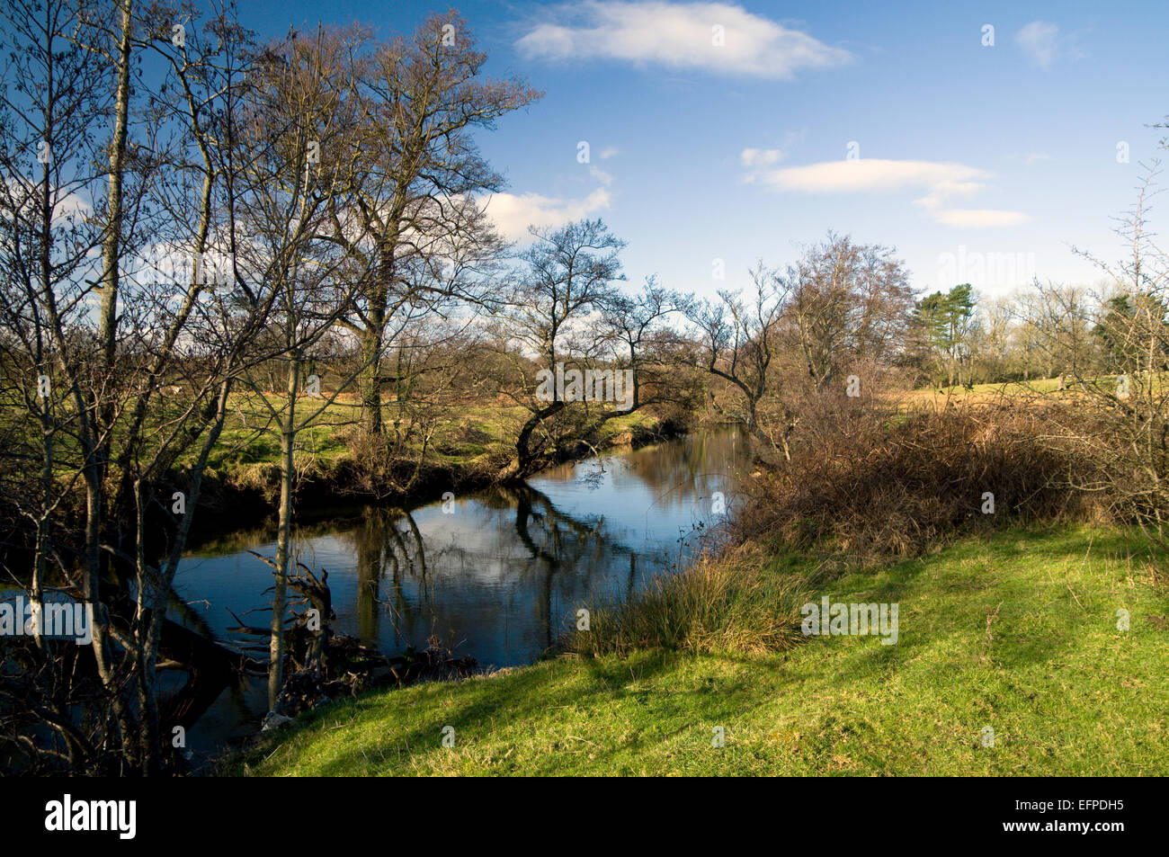Fiume Ely vicino a St Georges, Vale of Glamorgan, South Wales, Regno Unito. Foto Stock
