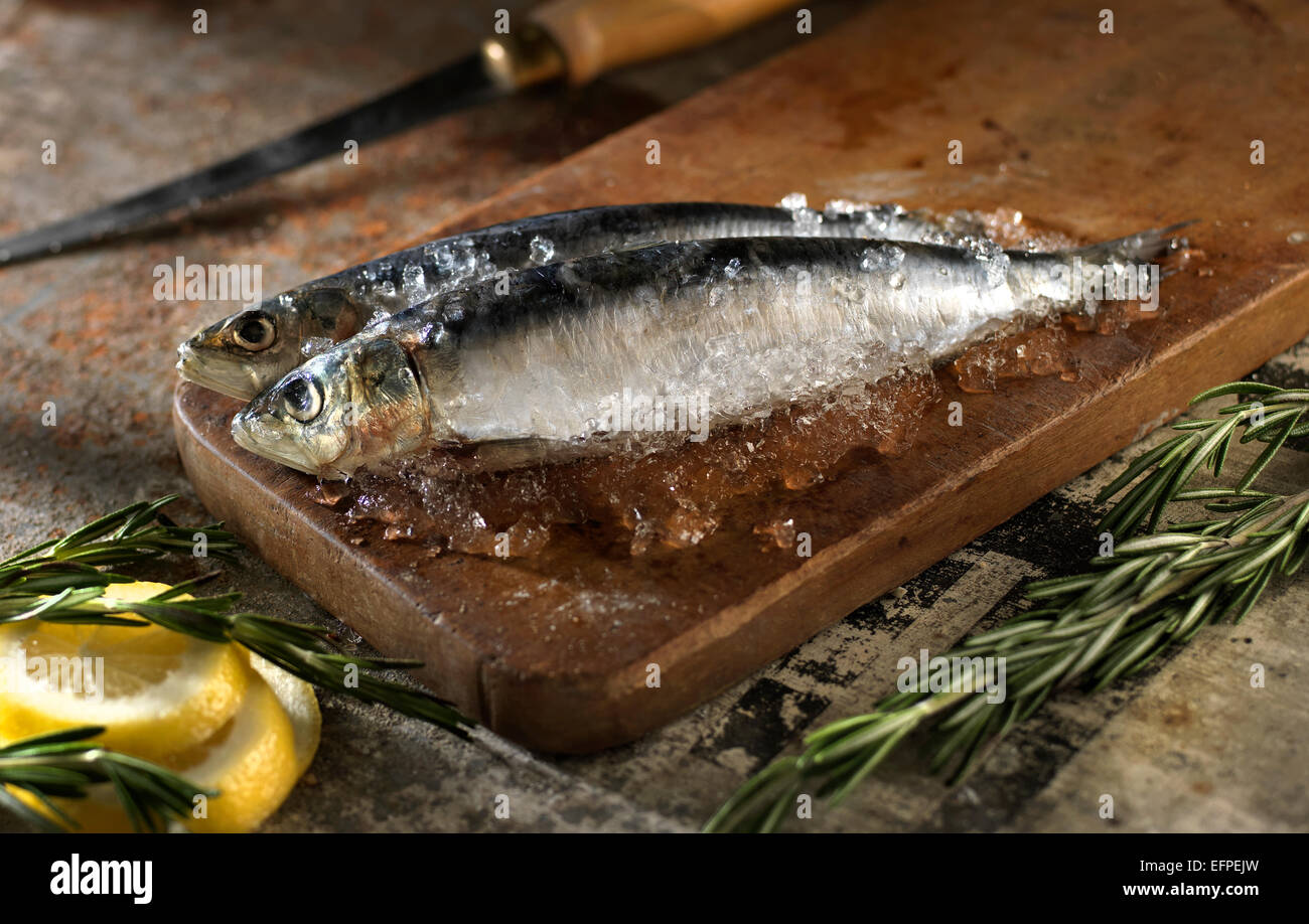 Ancora la vita di pesce sul tagliere con fettina di limone e rosmarino Foto Stock