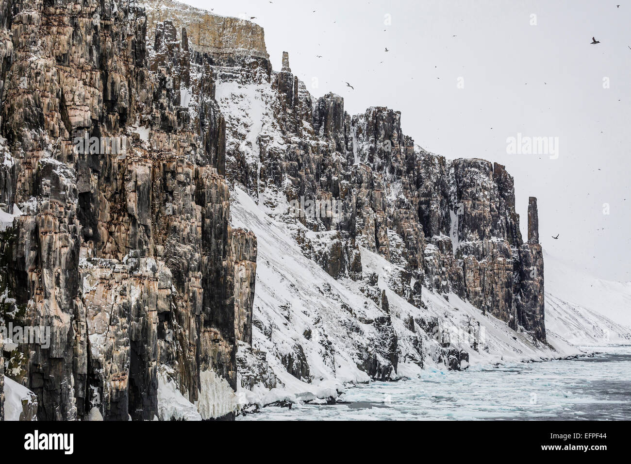 Tempesta di neve avvicinando Alkefjelet, Cape Fanshawe, Spitsbergen, Svalbard, Norvegia, Scandinavia, Europa Foto Stock