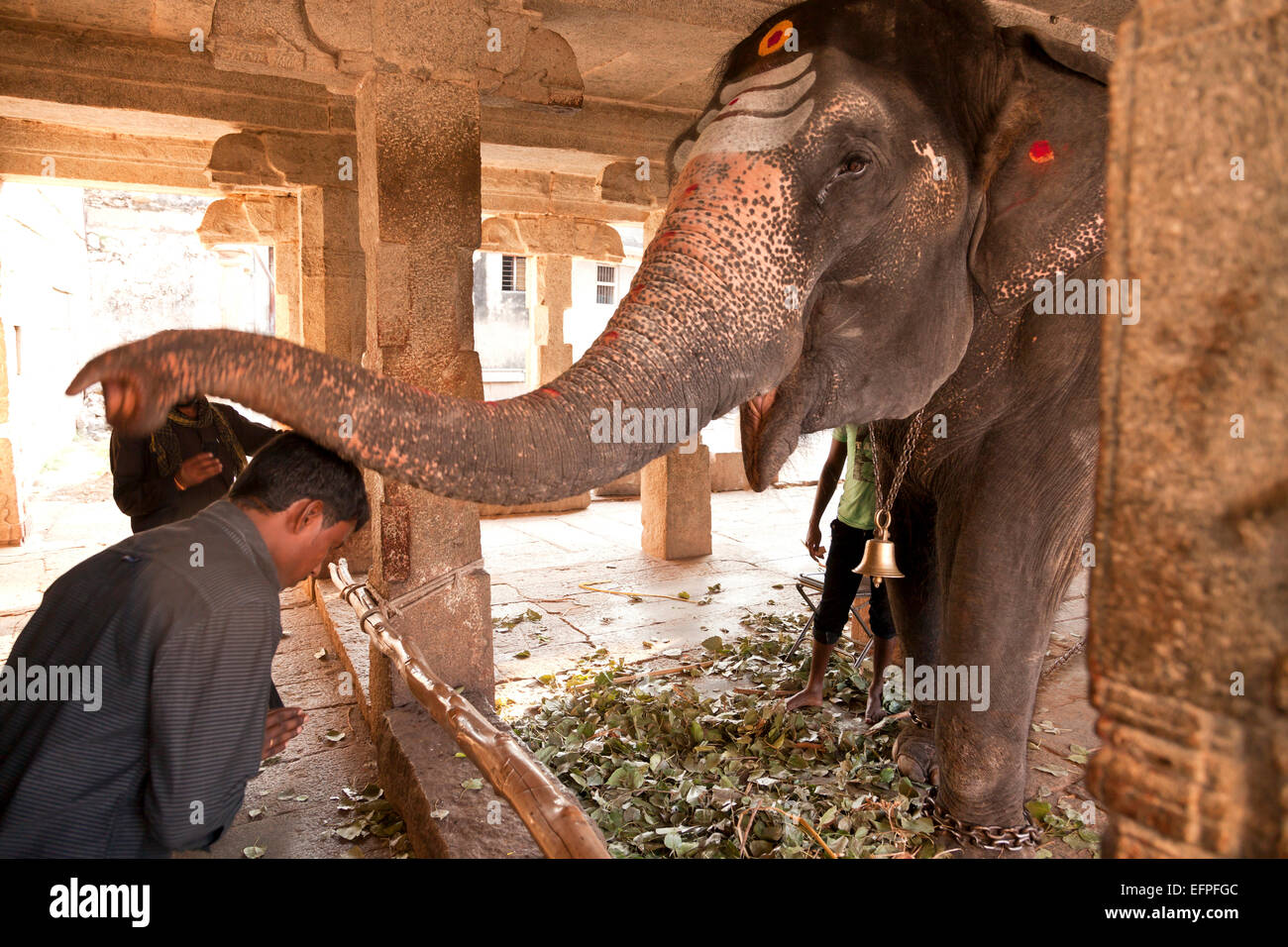 Tempio Virupaksha elefante e fedeli indù in Hampi, Karnataka, India, Asia Foto Stock