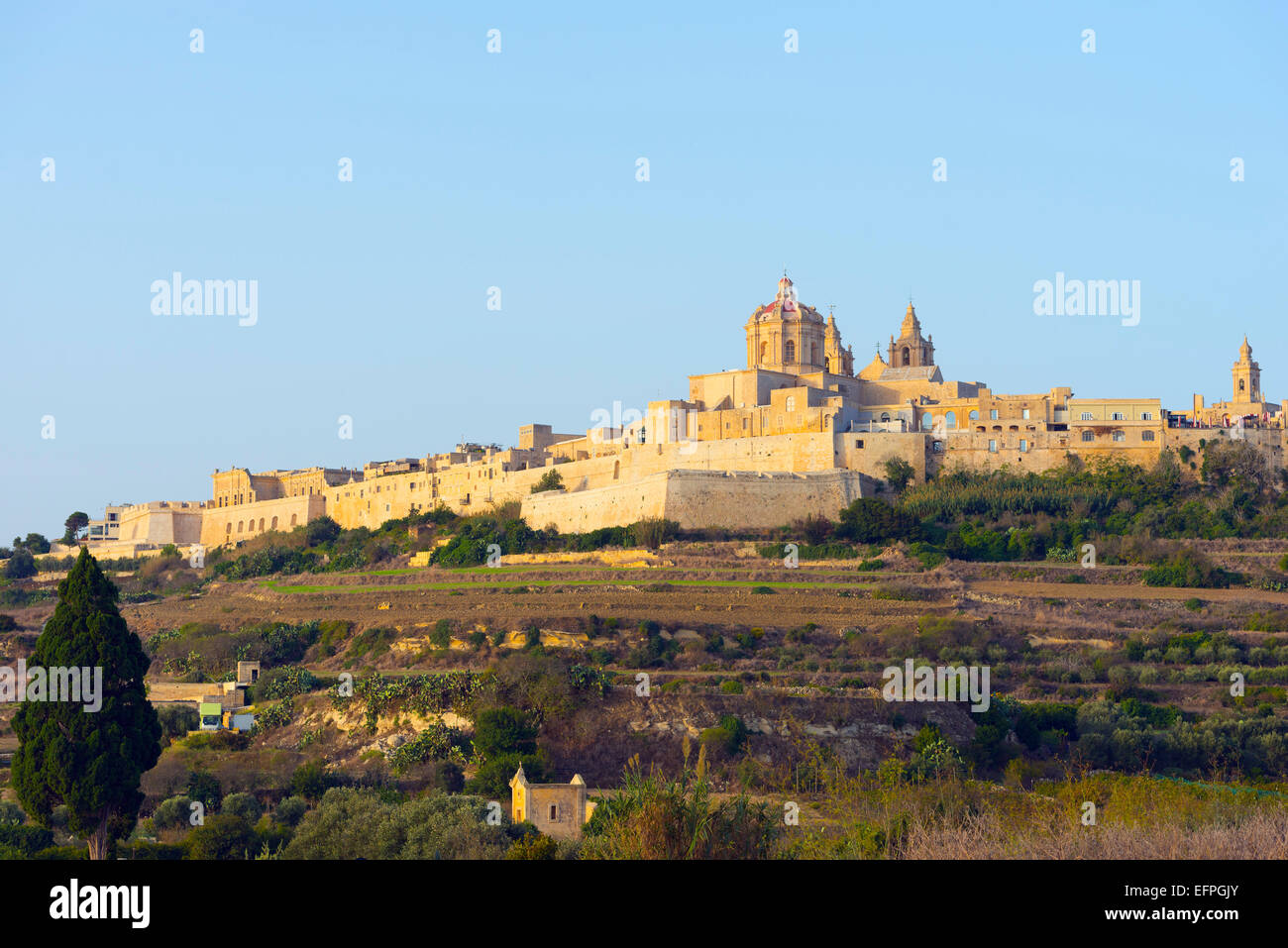 Stone città murata e la Cattedrale di San Paolo a Mdina, Malta, Mediterraneo, Europa Foto Stock