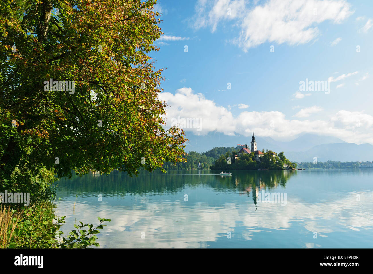 Il lago di Bled (Blejsko jezero), di Bled e sulle Alpi Giulie, Slovenia, Europa Foto Stock