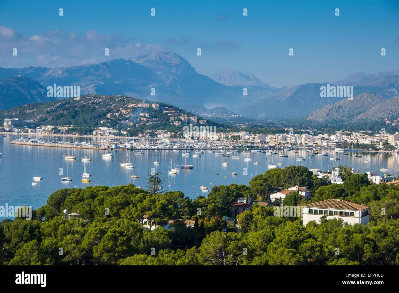 La vista della Baia di Port de Pollenca con molte barche a vela, Maiorca, isole Baleari, Spagna, Mediterraneo, Europa Foto Stock