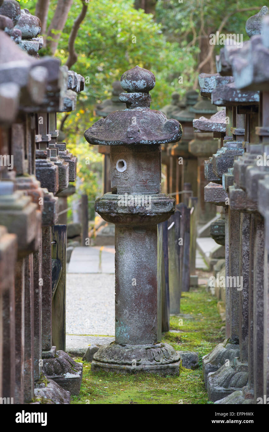 Lanterne di pietra a Kasuga Taisha al crepuscolo, Sito Patrimonio Mondiale dell'UNESCO, Nara, Kansai, Giappone, Asia Foto Stock